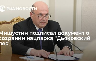 Мишустин подписал документ о создании нацпарка "Дьяковский лес"