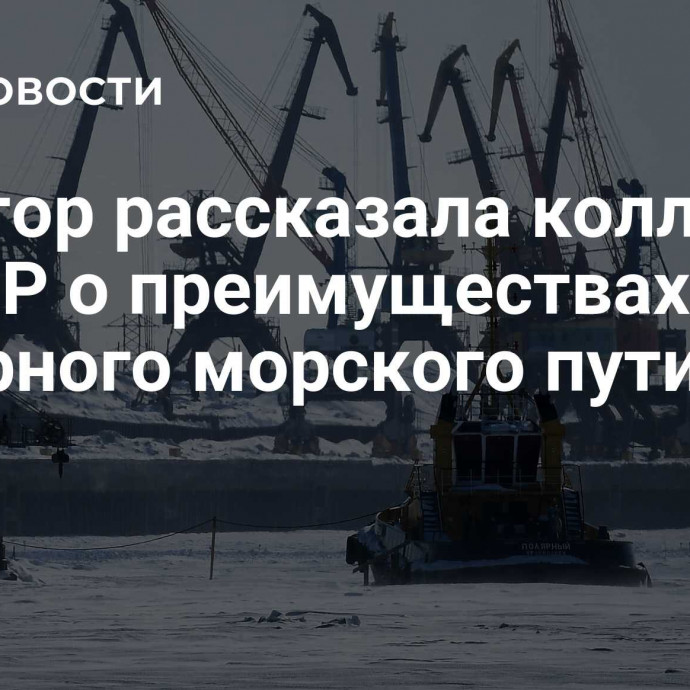 Сенатор рассказала коллегам из КНР о преимуществах Северного морского пути