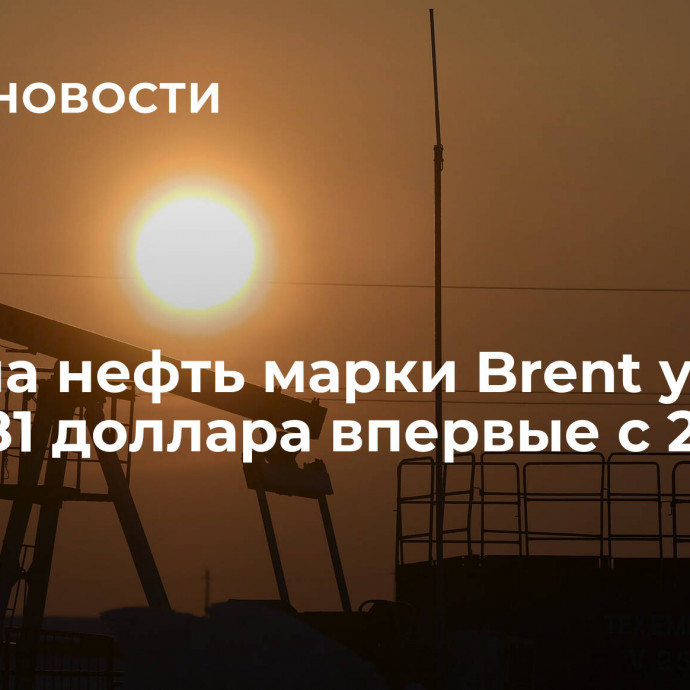 Цена на нефть марки Brent упала ниже 81 доллара впервые с 24 июля