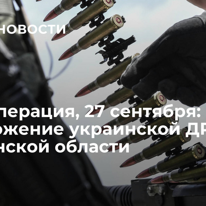 Спецоперация, 27 сентября: уничтожение украинской ДРГ в Херсонской области