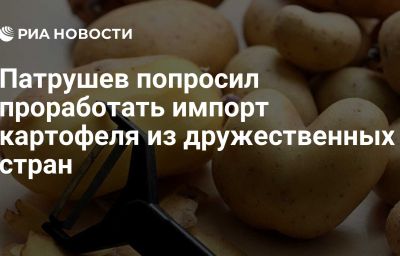 Патрушев попросил проработать импорт картофеля из дружественных стран