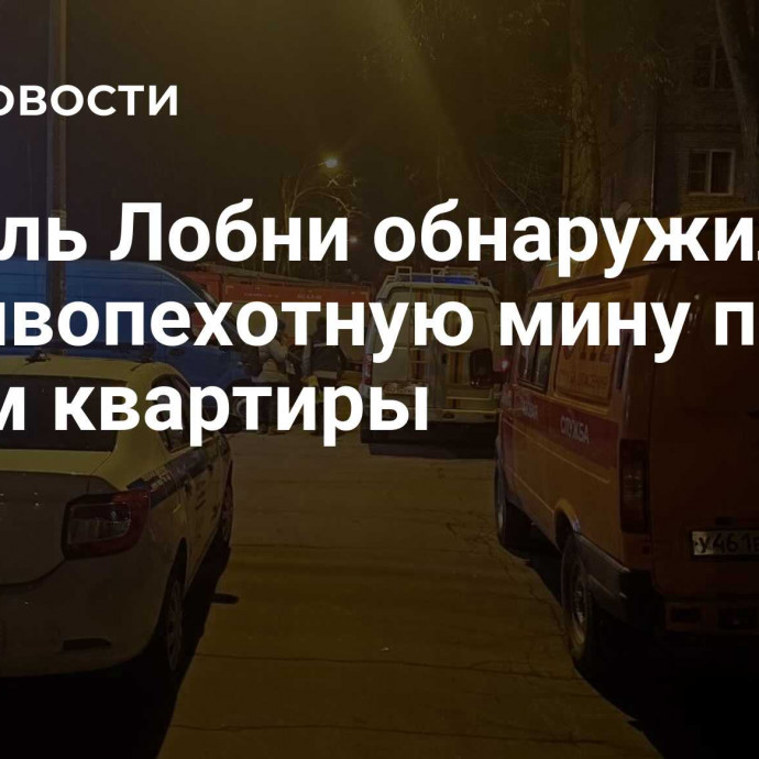 Житель Лобни обнаружил противопехотную мину под полом квартиры