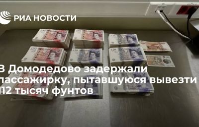 В Домодедово задержали пассажирку, пытавшуюся вывезти 112 тысяч фунтов