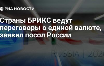 Страны БРИКС ведут переговоры о единой валюте, заявил посол России