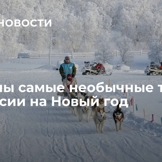 Названы самые необычные туры по России на Новый год