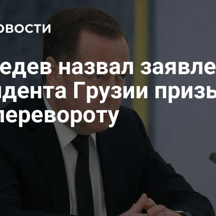 Медведев назвал заявления президента Грузии призывом к госперевороту