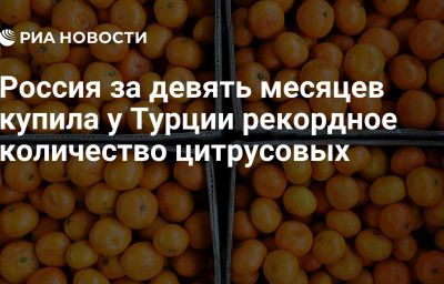 Россия за девять месяцев купила у Турции рекордное количество цитрусовых