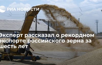 Эксперт рассказал о рекордном экспорте российского зерна за шесть лет