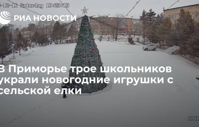 В Приморье трое школьников украли новогодние игрушки с сельской елки