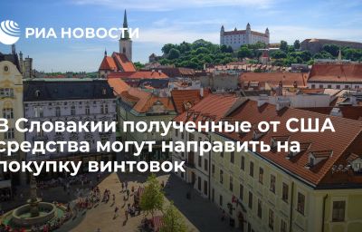 В Словакии полученные от США средства могут направить на покупку винтовок