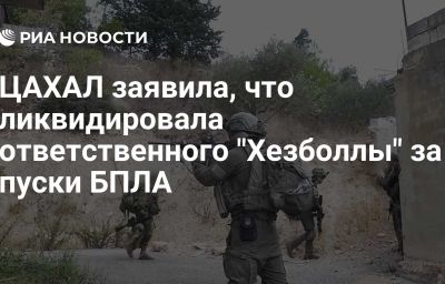 ЦАХАЛ заявила, что ликвидировала ответственного "Хезболлы" за пуски БПЛА