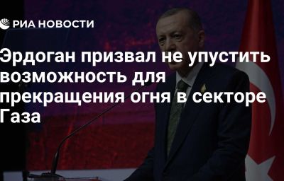 Эрдоган призвал не упустить возможность для прекращения огня в секторе Газа