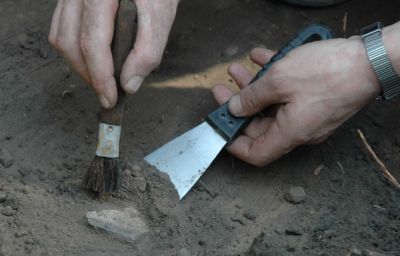 В Монголии нашли новый вид птицеподобного динозавра