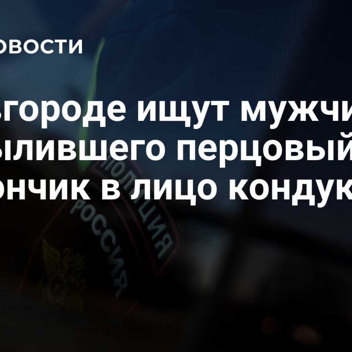 В Новгороде ищут мужчину, распылившего перцовый баллончик в лицо кондуктору