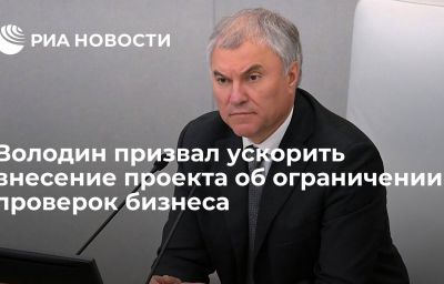 Володин призвал ускорить внесение проекта об ограничении проверок бизнеса