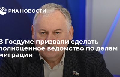 В Госдуме призвали сделать полноценное ведомство по делам миграции