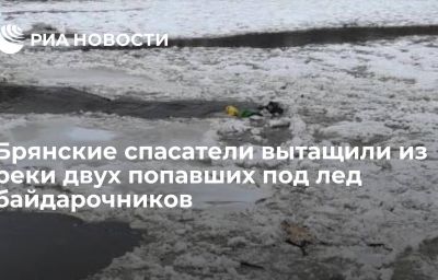 Брянские спасатели вытащили из реки двух попавших под лед байдарочников