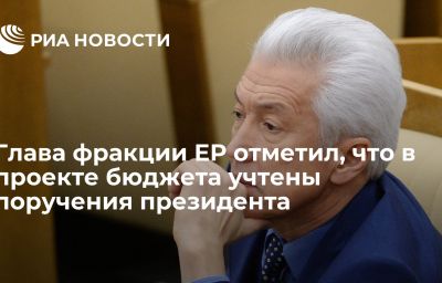 Глава фракции ЕР отметил, что в проекте бюджета учтены поручения президента