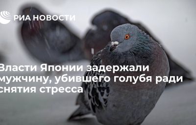 Власти Японии задержали мужчину, убившего голубя ради снятия стресса