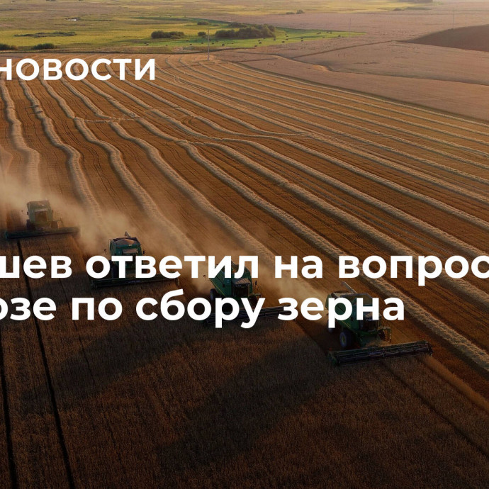 Патрушев ответил на вопрос о прогнозе по сбору зерна