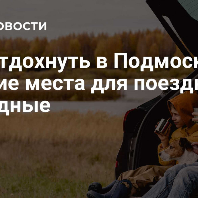 Где отдохнуть в Подмосковье: лучшие места для поездки на выходные