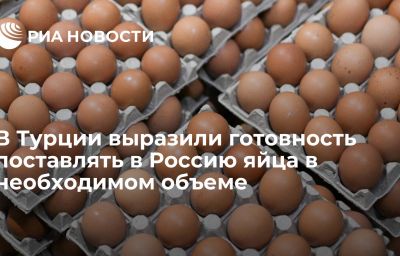 В Турции выразили готовность поставлять в Россию яйца в необходимом объеме