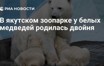 В якутском зоопарке у белых медведей родилась двойня