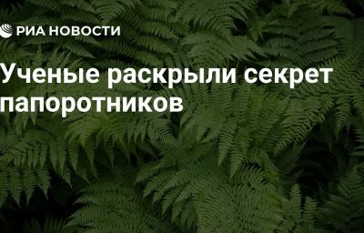 Ученые раскрыли секрет папоротников