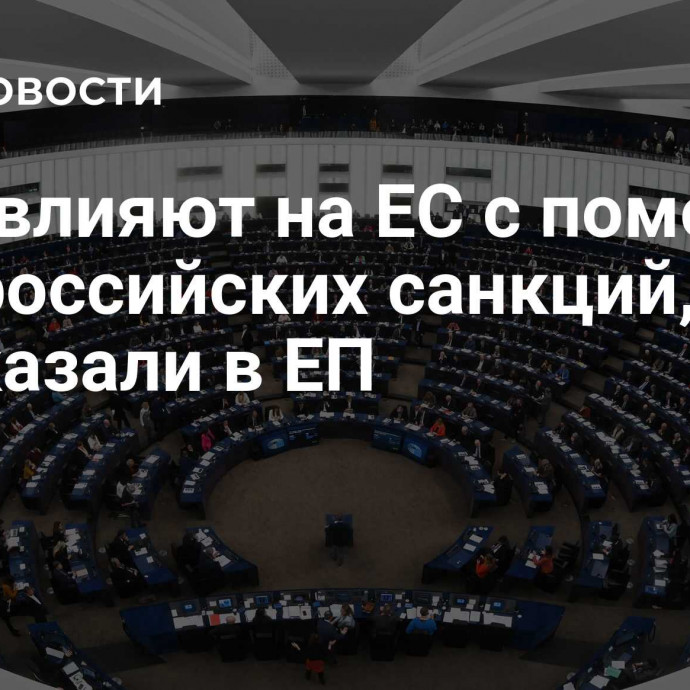 США влияют на ЕС с помощью антироссийских санкций, рассказали в ЕП