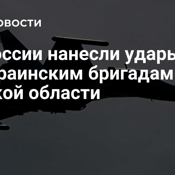 ВС России нанесли удары по 15 украинским бригадам в Курской области