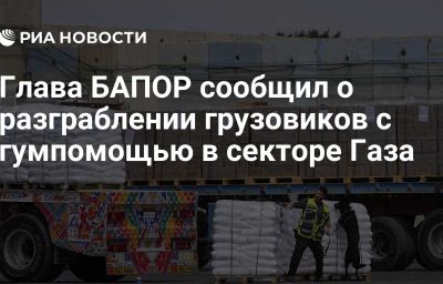 Глава БАПОР сообщил о разграблении грузовиков с гумпомощью в секторе Газа