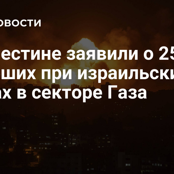 В Палестине заявили о 25 900 погибших при израильских ударах в секторе Газа