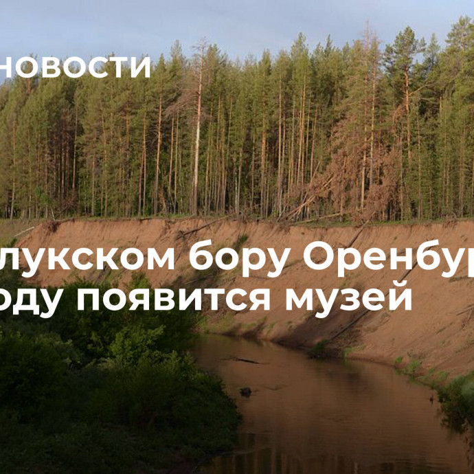 В Бузулукском бору Оренбуржья в 2024 году появится музей