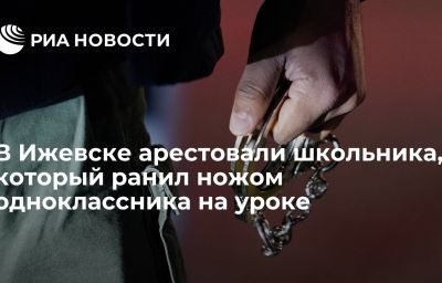 В Ижевске арестовали школьника, который ранил ножом одноклассника на уроке