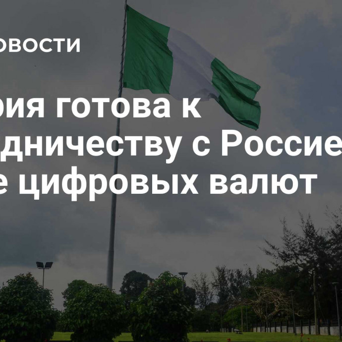 Нигерия готова к сотрудничеству с Россией в сфере цифровых валют