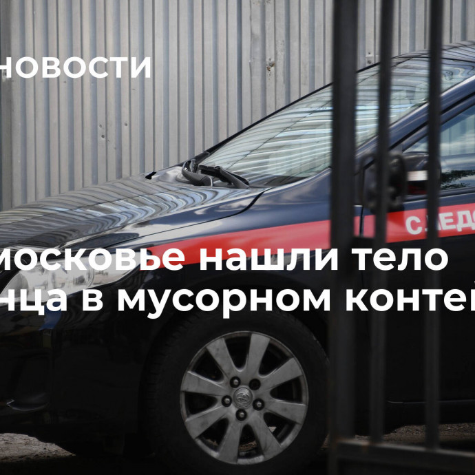 В Подмосковье нашли тело младенца в мусорном контейнере