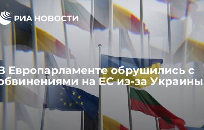 В Европарламенте обрушились с обвинениями на ЕС из-за Украины