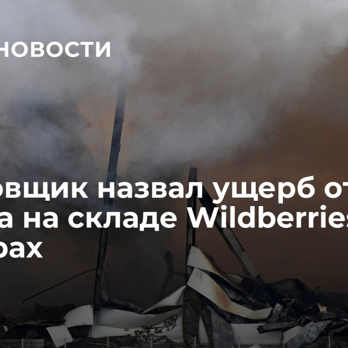 Страховщик назвал ущерб от пожара на складе Wildberries в Шушарах