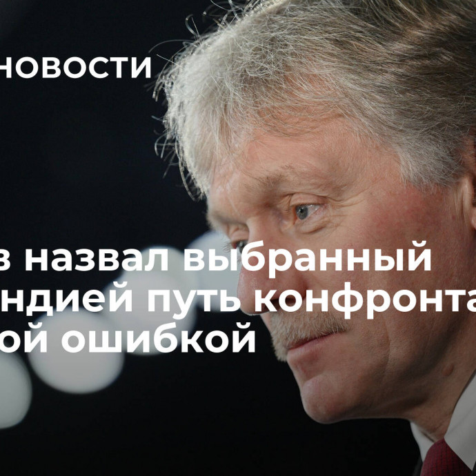 Песков назвал выбранный Финляндией путь конфронтации большой ошибкой