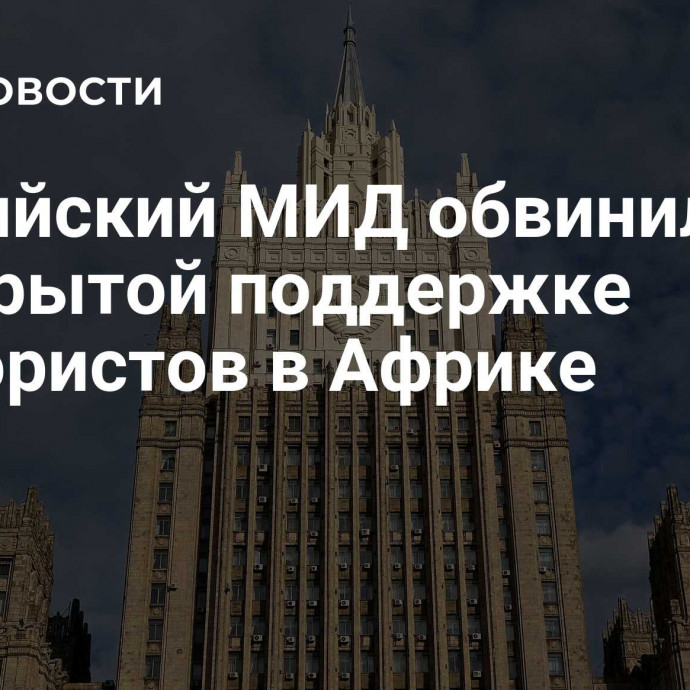 Российский МИД обвинил Киев в открытой поддержке террористов в Африке