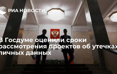 В Госдуме оценили сроки  рассмотрения проектов об утечках личных данных