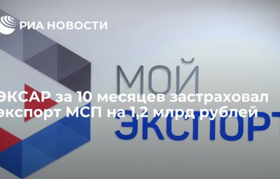 ЭКСАР за 10 месяцев застраховал экспорт МСП на 1,2 млрд рублей