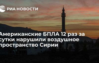 Американские БПЛА 12 раз за сутки нарушили воздушное пространство Сирии