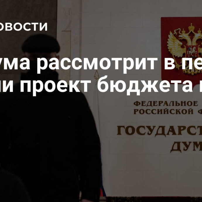 Госдума рассмотрит в первом чтении проект бюджета на два года