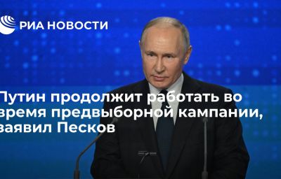 Путин продолжит работать во время предвыборной кампании, заявил Песков