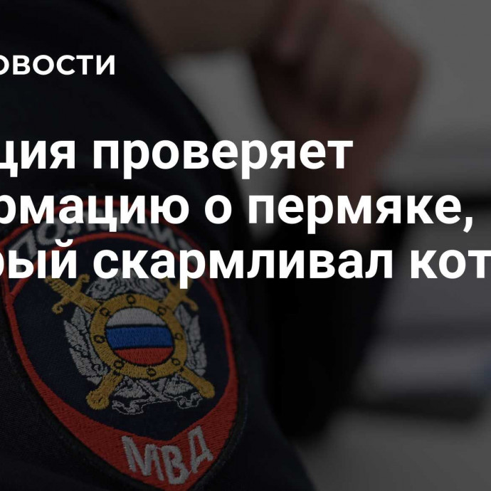 Полиция проверяет информацию о пермяке, который скармливал котят змее