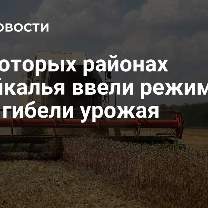 В некоторых районах Забайкалья ввели режим ЧС из-за гибели урожая