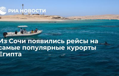 Из Сочи появились рейсы на самые популярные курорты Египта