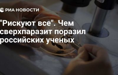 "Рискуют все". Чем сверхпаразит поразил российских ученых