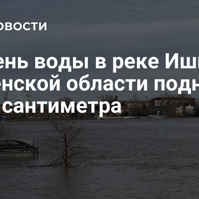 Уровень воды в реке Ишим в Тюменской области поднялся на 54 сантиметра